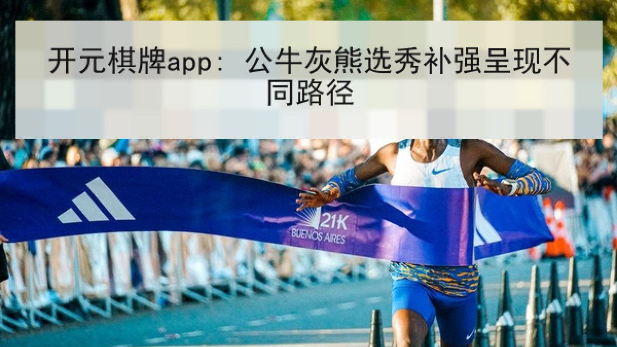 开元棋牌app: 公牛灰熊选秀补强呈现不同路径