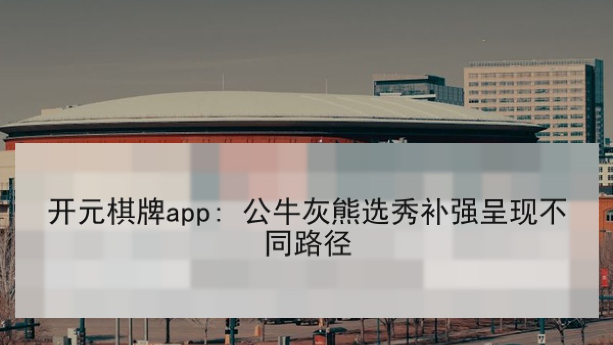 开元棋牌app: 公牛灰熊选秀补强呈现不同路径