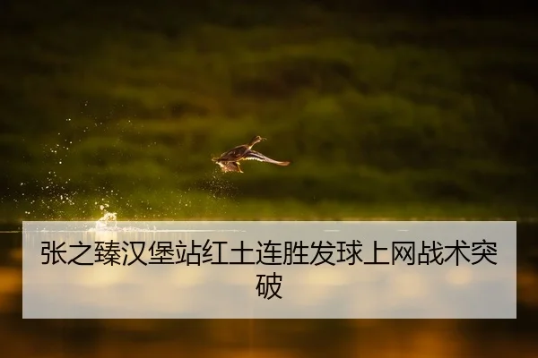 张之臻汉堡站红土连胜发球上网战术突破