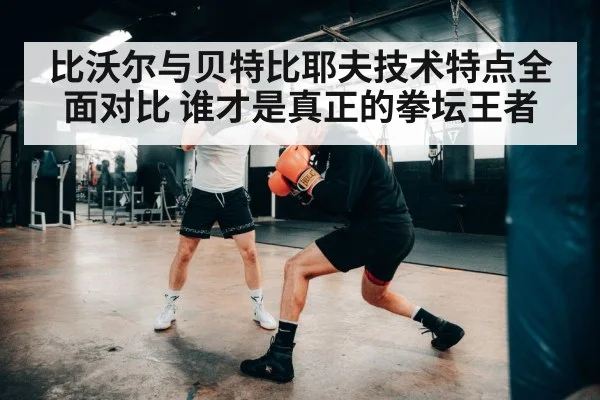 比沃尔与贝特比耶夫技术特点全面对比 谁才是真正的拳坛王者